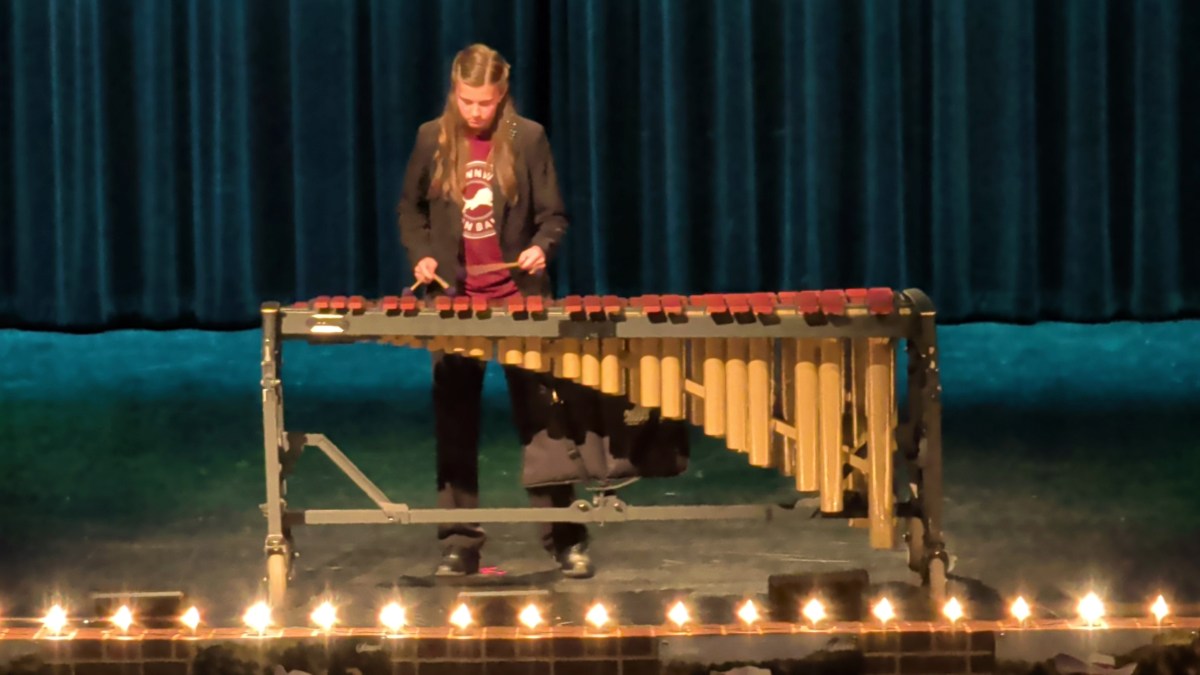 BHS Lionettes 2025-26 Spring Show - Image 10